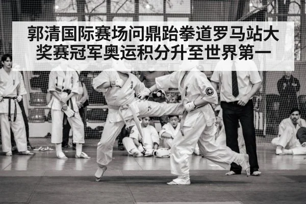 郭清国际赛场问鼎跆拳道罗马站大奖赛冠军奥运积分升至世界第一